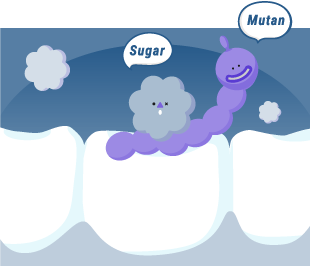 Streptococcus Mutans bacteria are one of the main reason to cause cavity