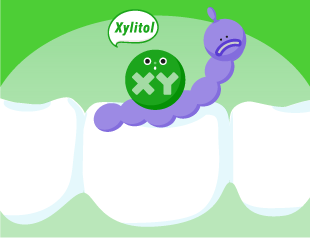 Streptococcus Mutans bacteria absorb Xylitol